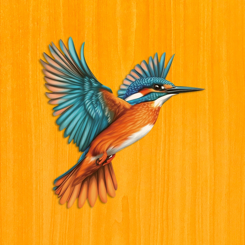 Ohnivý rybárik riečny – Drevené puzzle 2