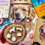 Priateľský zlatý retriever – Drevené puzzle 5