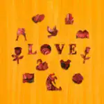 Romantické kvetinové srdce – Drevené puzzle 3