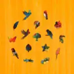 Tropický papagáj – Drevené puzzle 3